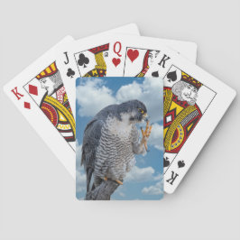 Slechtvalk langs de Hudsonrivier Pokerkaarten