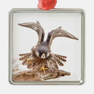 Slechtvalk Metalen Ornament