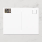 slechtvalken op de rotsen briefkaart (Achterkant)