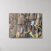 slechtvalken op de rotsen canvas afdruk (Voorkant)