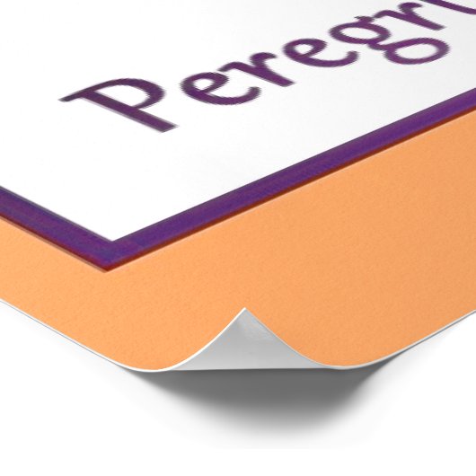 slechtvalken poster (Hoek)