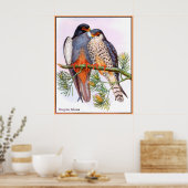 slechtvalken poster (Keuken)