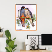 slechtvalken poster (Thuiskantoor)