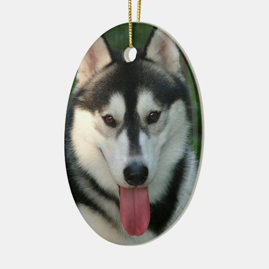 Sled Dog Ornament (Links)