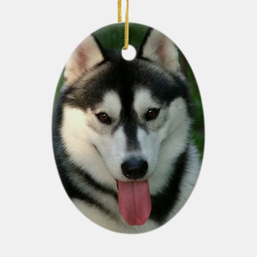 Sled Dog Ornament (Achterkant)