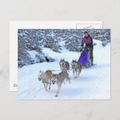 Sled Dog Racing Briefkaart (Voorkant / Achterkant)