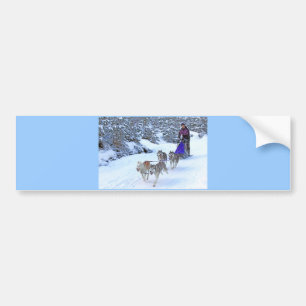 Sled Dog Racing Bumpersticker