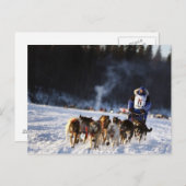 Sled Dog Racing in Alaska Briefkaart (Voorkant / Achterkant)