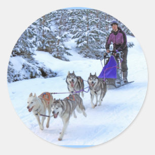 Sled Dog Racing Ronde Sticker