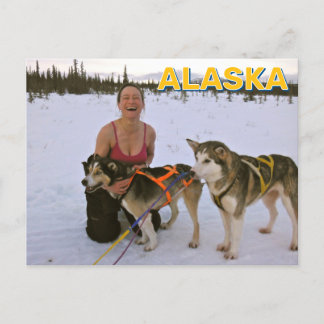 Sled Dogs In Alaska Briefkaart