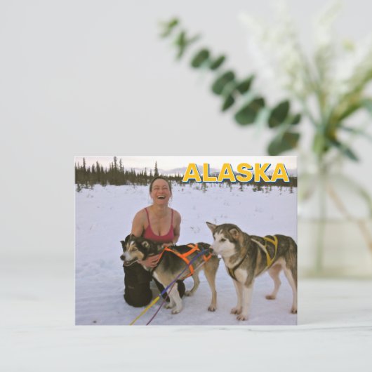 Sled Dogs In Alaska Briefkaart (Staand voorkant)