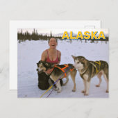 Sled Dogs In Alaska Briefkaart (Voorkant / Achterkant)