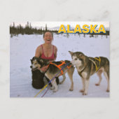Sled Dogs In Alaska Briefkaart (Voorkant)