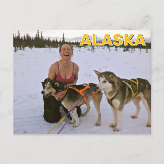 Sled Dogs In Alaska Briefkaart (Voorkant)