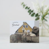Sled Dogs in Upernavik Greenland Briefkaart (Staand voorkant)