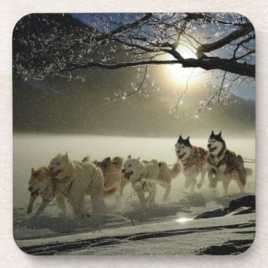 Sled husky race onderzetter (Voorkant)