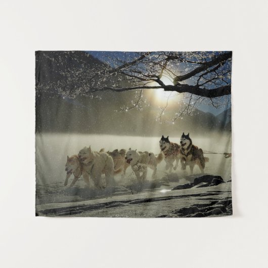 Sled husky race wandkleed (Voorkant (horizontaal))