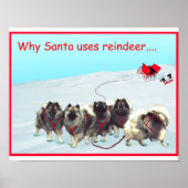 Sled Team Poster (Voorkant)