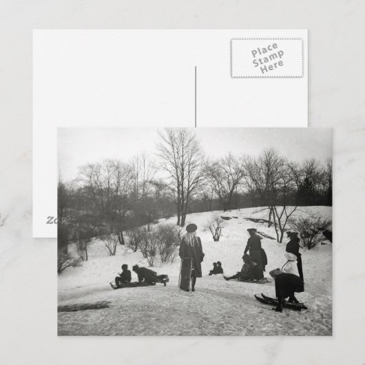 Sledding in Central Park, 1906 Briefkaart (Voorkant / Achterkant)