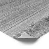 slede - "Wild Cargo" Chevy Nova Funny car Poster (Hoek)