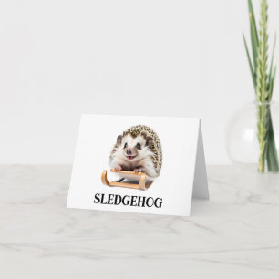 Sledgehog Grappige Hedgehog Kerstmis Sleigh Blank Kaart