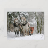 slee ride briefkaart (Voorkant / Achterkant)