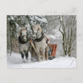 slee ride briefkaart (Voorkant)