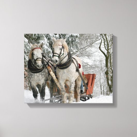 slee+ride,sneeuw,bos,paard,winter,wit,gallop, canvas afdruk (Voorkant)