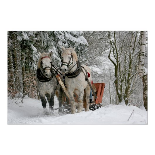 slee+ride,sneeuw,bos,paard,winter,wit,gallop, perfect poster (Voorkant)