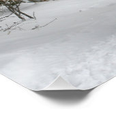 slee+ride,sneeuw,bos,paard,winter,wit,gallop, perfect poster (Hoek)