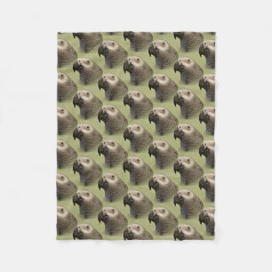 Sleek Congo-Afrikaanse grijze papegaai Fleece Deken