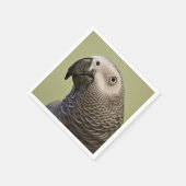 Sleek Congo-Afrikaanse grijze papegaai Servet (Hoek)