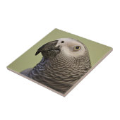 Sleek Congo-Afrikaanse grijze papegaai Tegeltje (Zijkant)