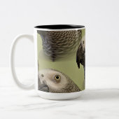 Sleek Congo-Afrikaanse grijze papegaai Tweekleurige Koffiemok (Links)