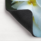 Sleek elegance: the white frangipani flower muismat (Hoek)