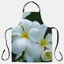 Sleek elegance: the white frangipani flower schort
