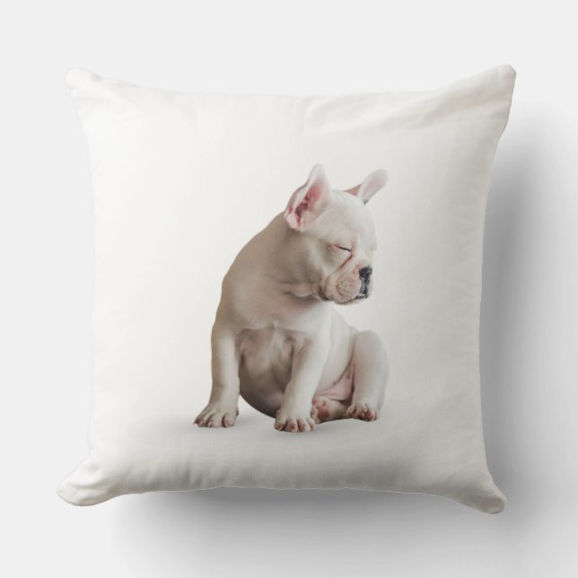 Sleep Dog Kussen (Voorkant)