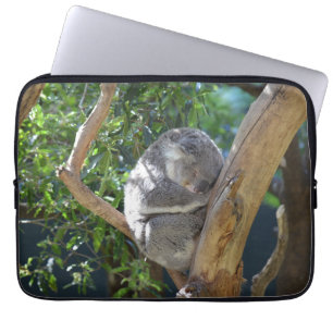 Sleep Koala Laptop Sleeve