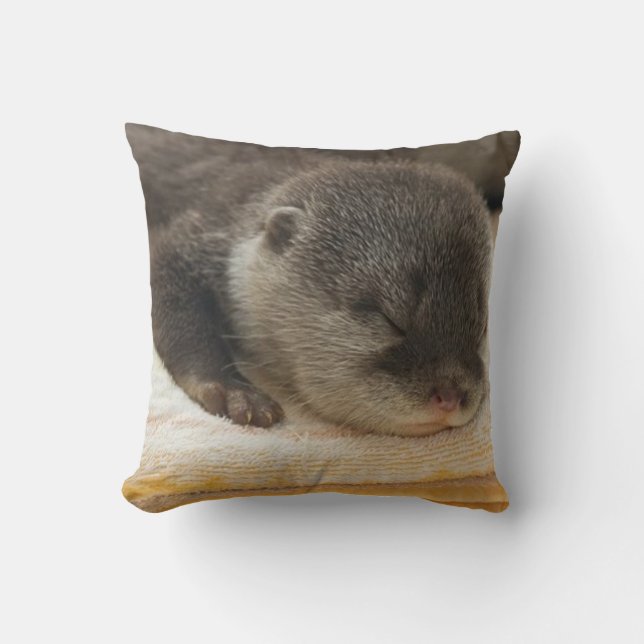 Sleep Otter Kussen (Voorkant)