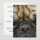 Sleepbok Kaart (Voorkant / Achterkant)