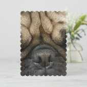 Sleepbok Kaart (Staand voorkant)