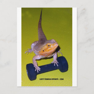 sleepdraak met dumbbels briefkaart