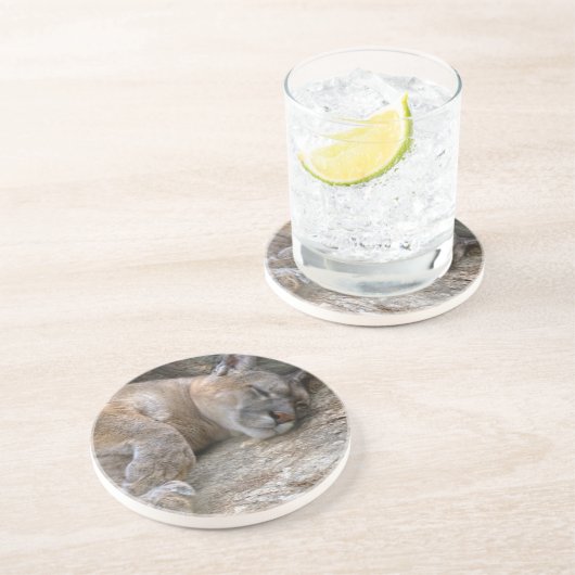 Sleephoofd Zandsteen Onderzetter (Zijkant)