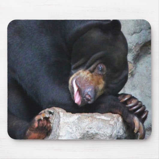 Sleepig Beer Muismat (Voorkant)