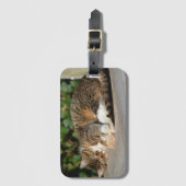 Sleepig kat bagagelabel (Voorkant (verticaal))