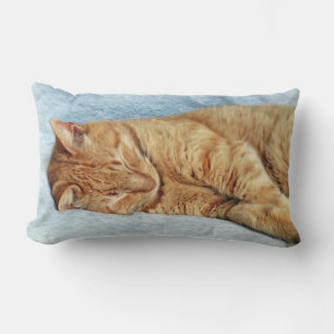 Sleepig Kat Kussen