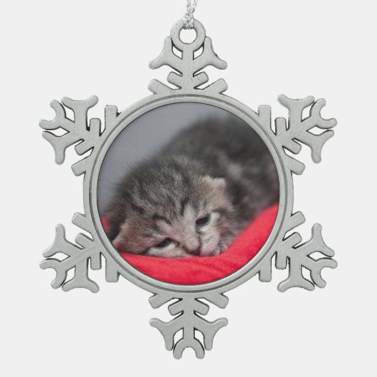 Sleepig kat tin sneeuwvlok ornament (Voorkant)