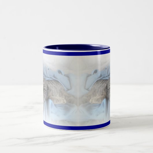 Sleepig Kat Tweekleurige Koffiemok (Center)