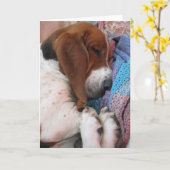 Sleeping Basset Blank Kaart (Gele Bloem)