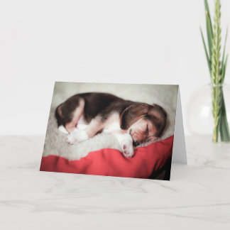 Sleeping Beagle Baby Kaart